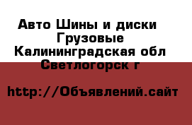 Авто Шины и диски - Грузовые. Калининградская обл.,Светлогорск г.